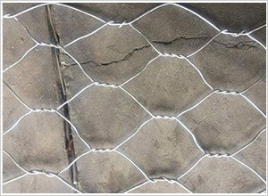 雙絞合鍍鋅鋼絲網 雙絞合鍍鋅鋼絲網