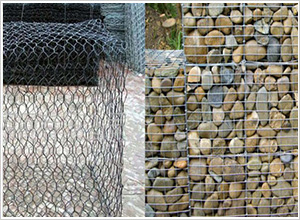 生態格網 生態格網