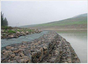 護堤雷諾護墊 護堤雷諾護墊